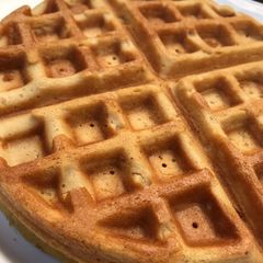 A picture of Waffles.