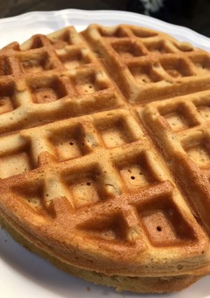 A picture of Waffles.