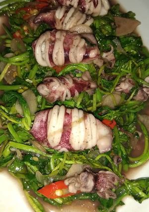 Foto resep Cah selada air + cumi