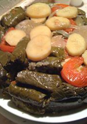 A picture of Stuffed vine leaves with olive oil.
