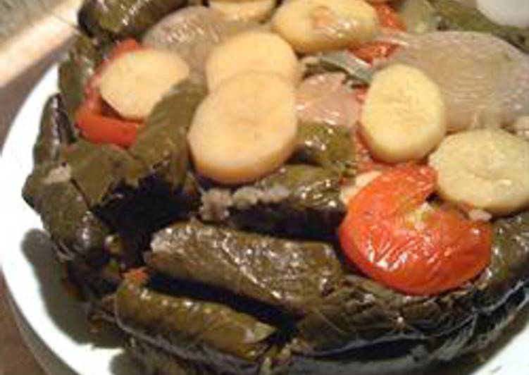 Easiest Way to Prepare Quick Stuffed vine leaves with olive oil - warak 3enab bi zeit