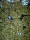Papa's Oatmeal Raisin Cookies