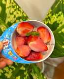 Dâu tây chấm sữa đặc