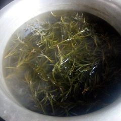 A picture of Rosemary Concentrate.