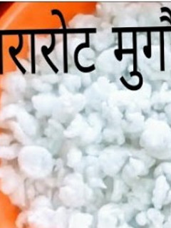 आरारोट मुंगौडी(Arrowroot mangodi recipe in hindi) रेसिपी मुख्य फोटो
