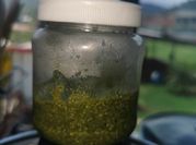 Una foto de pesto de albahaca