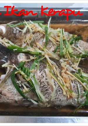 Foto resep Tim Ikan Kerapu