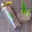 Nước MỦ TRÔM-HẠT CHIA đường phèn