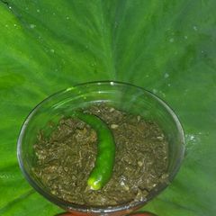 A picture of Arabi leaves ki saag.
