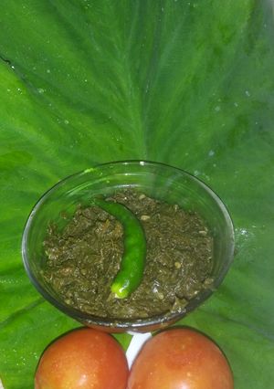 A picture of Arabi leaves ki saag.