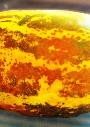 178.எலுமிச்சை வெள்ளரி சட்னி செய்முறை முக்கிய புகைப்படம்