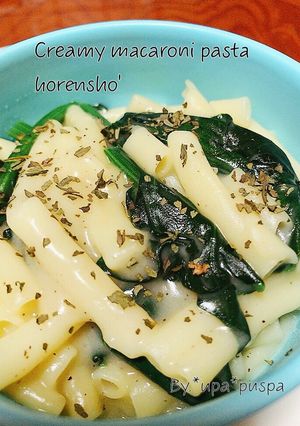 Foto resep Niiyama Creamy macaroni pasta w/ horensho (ga smp 10 menit)