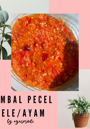 Foto resep Sambal pecel lele/ayam