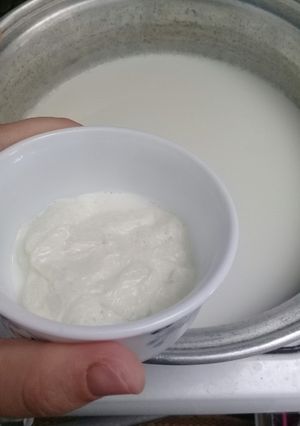 عکسی از دستور سرشیر