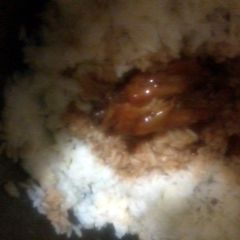 A picture of maple bbq chicken.