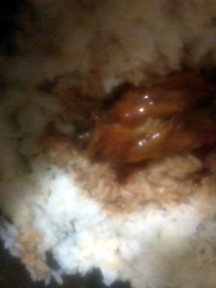 A picture of maple bbq chicken.