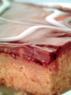 A picture of Chocolate Caramel Slices.