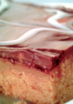A picture of Chocolate Caramel Slices.