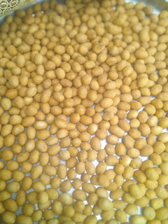 A picture of Peanut Burger.
