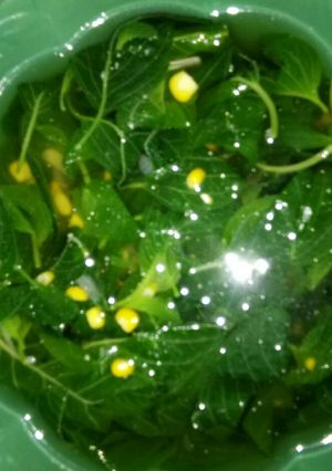 Foto resep Sayur Kunci
