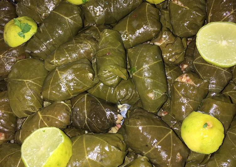 محشي ورق العنب