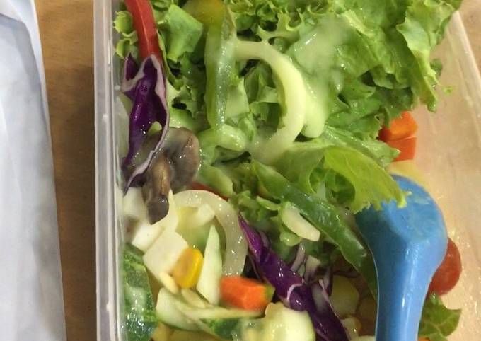 Resep Salad bekal makan sehat yang Lezat Sekali