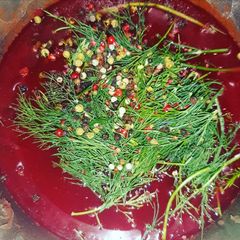 A picture of My Second Beetroot Soup (Vegan)🍅🍅🍅🍅🍅.