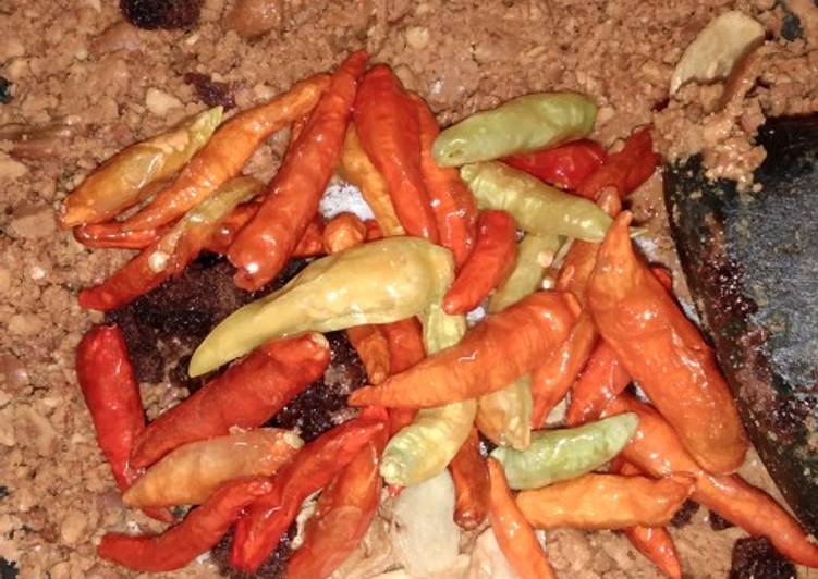 Sambel pecel bunda Putri yang pasti Non MSG ya?