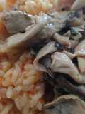 Setaquerones veganos con arroz