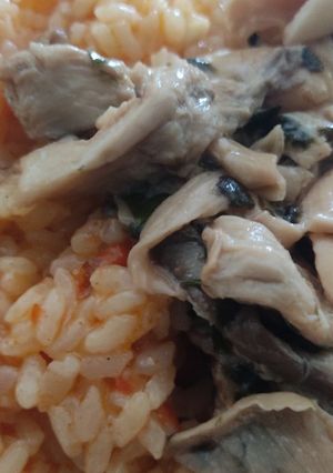 Una foto de Setaquerones veganos con arroz