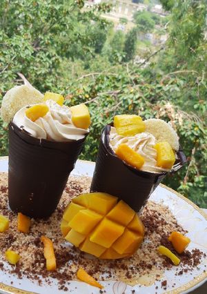 A picture of Mango Pots.