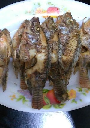 Foto resep Mujahir goreng