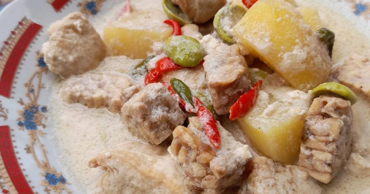 92.151 resep masakan bahan dasar tempe enak dan sederhana