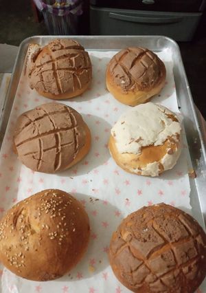 Una foto de Conchas