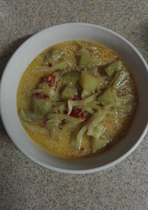 Foto resep Sayur lodeh TELASI(terong,labu siam)