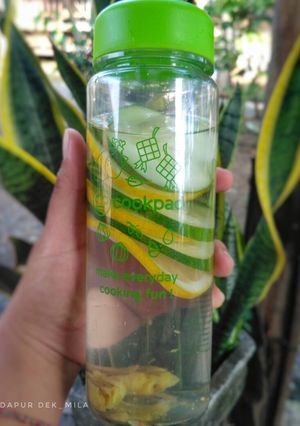 Foto resep Infused Water Lemon,Timun,Jahe dan Daun mint