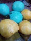 Bakpau Warna Warni (Isi Cokelat Empuk)