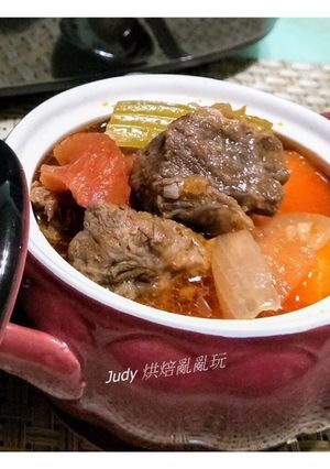 蕃茄燉牛肉 的食譜成品照片