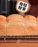 【優格蜂蜜迷你吐司】手揉免機器｜磅蛋糕模