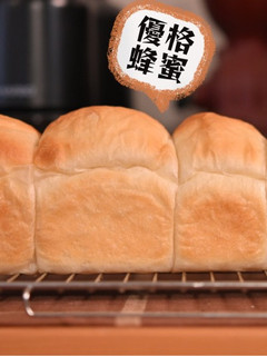 【優格蜂蜜迷你吐司】手揉免機器|磅蛋糕模 的食譜成品照片