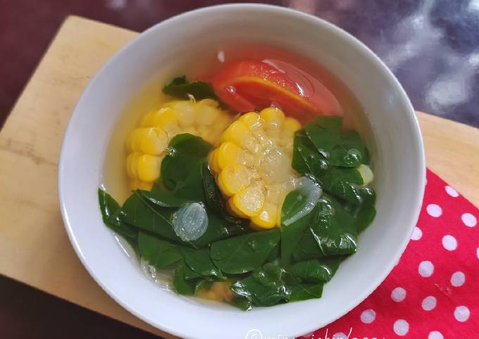 Standar Resep bikin Sayur Bening Katuk Jagung yang spesial