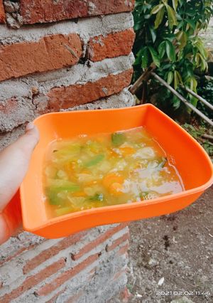 Foto resep Sup sayur