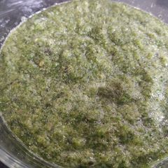 A picture of Sabaz chutney.
