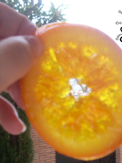 Una foto de Naranja confitada o escarchada