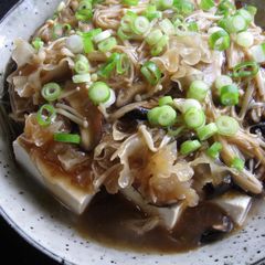 A picture of Hot Tofu with Mushroom Sauce.
