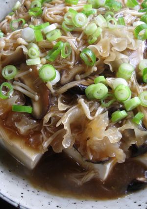 A picture of Hot Tofu with Mushroom Sauce.
