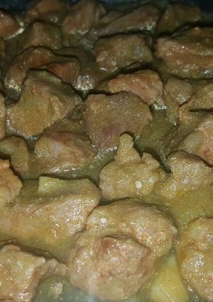 A picture of Pork tenderloin in salsa verde.