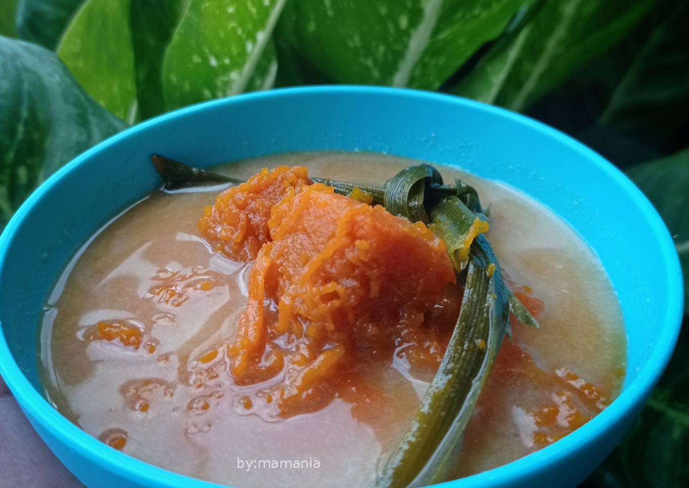 Kolak labu parang