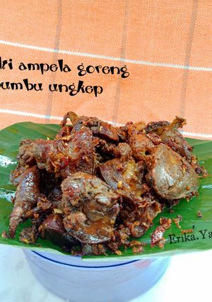 Foto resep Ati Ampela Goreng Bumbu Ungkep