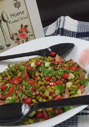A picture of Jain Moong salad (no onion no garlic no potatoes).